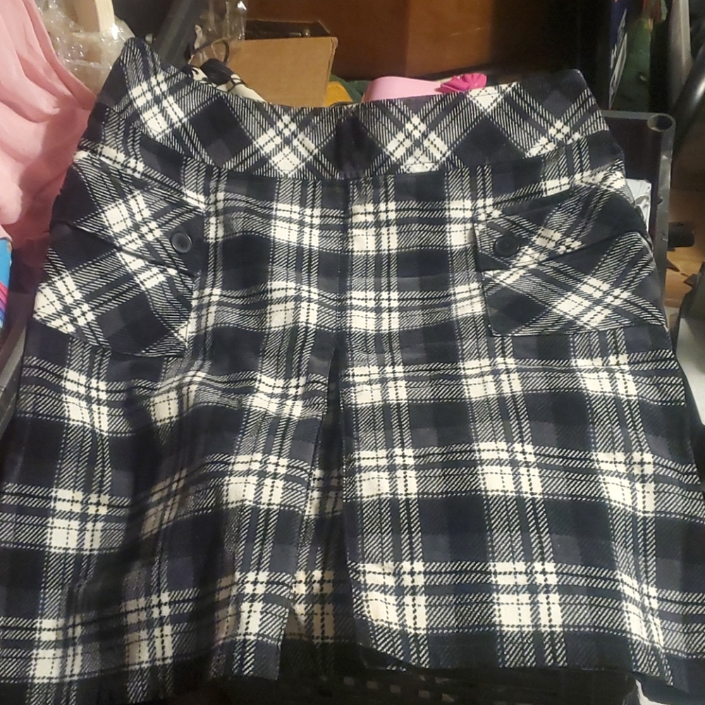 Anne Taylor Loft Pleated Skirt